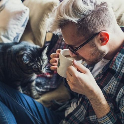 Man enjoying coffee beside a curious cat in a relaxed, pet-friendly environment at KillarneyInn.